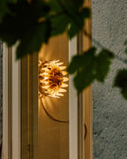 Floralis Meadow