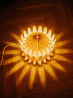 Floralis Orange