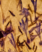 Cornflower Drop
